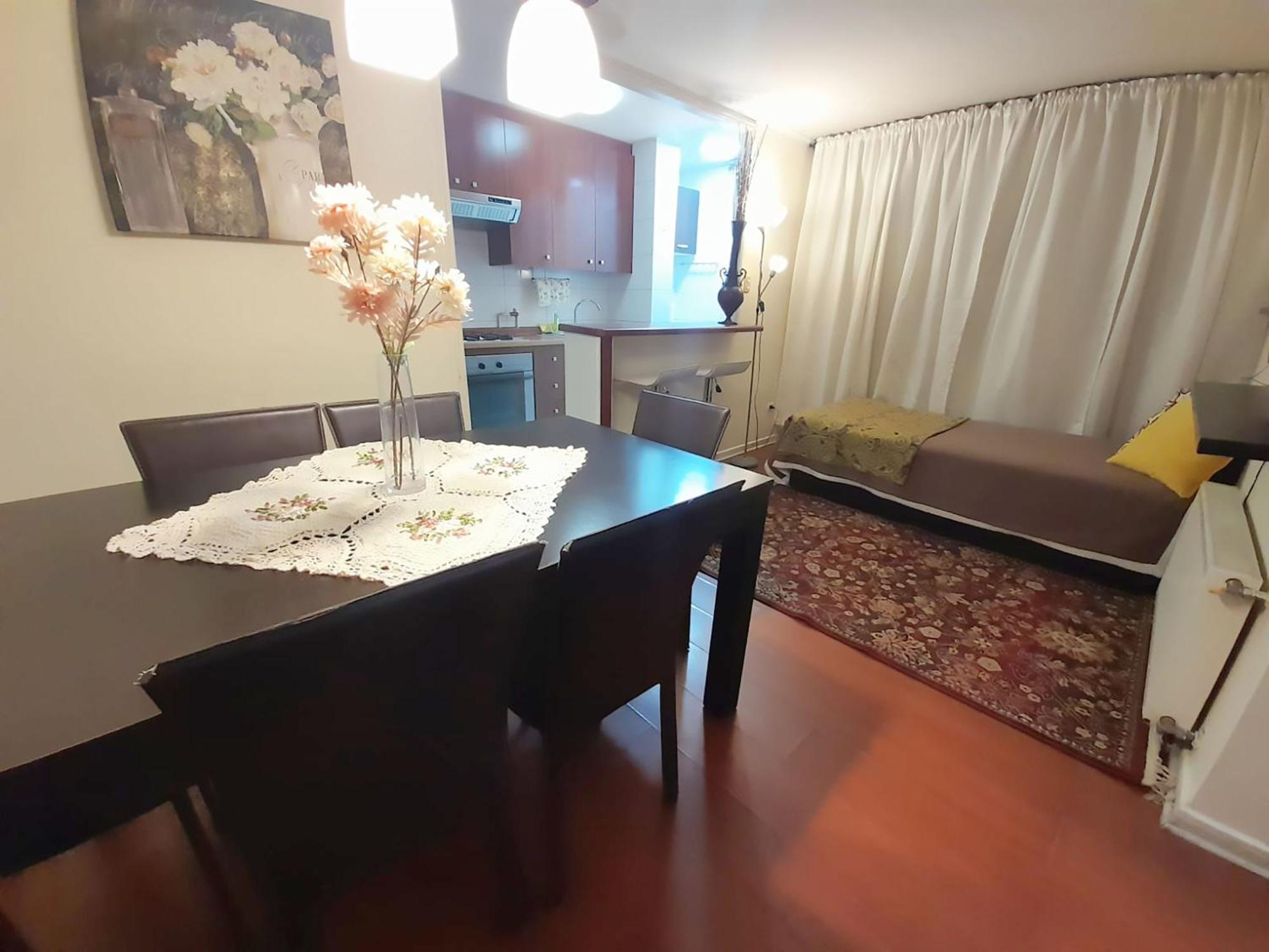 Vip Apartments Chile 圣地亚哥 外观 照片