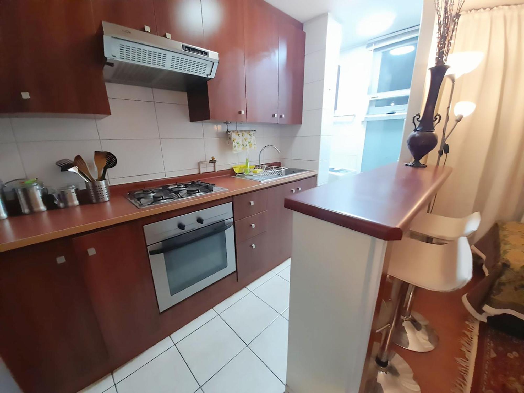 Vip Apartments Chile 圣地亚哥 外观 照片
